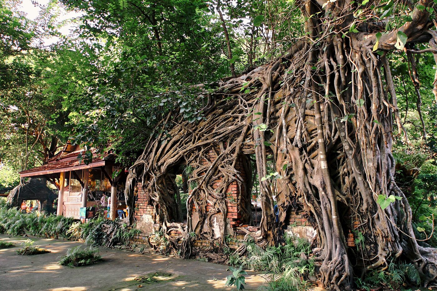 วัดเลขธรรมกิตติ์ จ.นครนายก