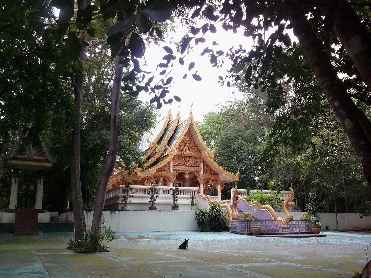 วัดป่าน้ำริน จ.เชียงใหม่