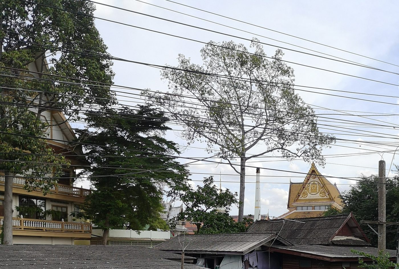 วัดบางหลวง จ.ปทุมธานี