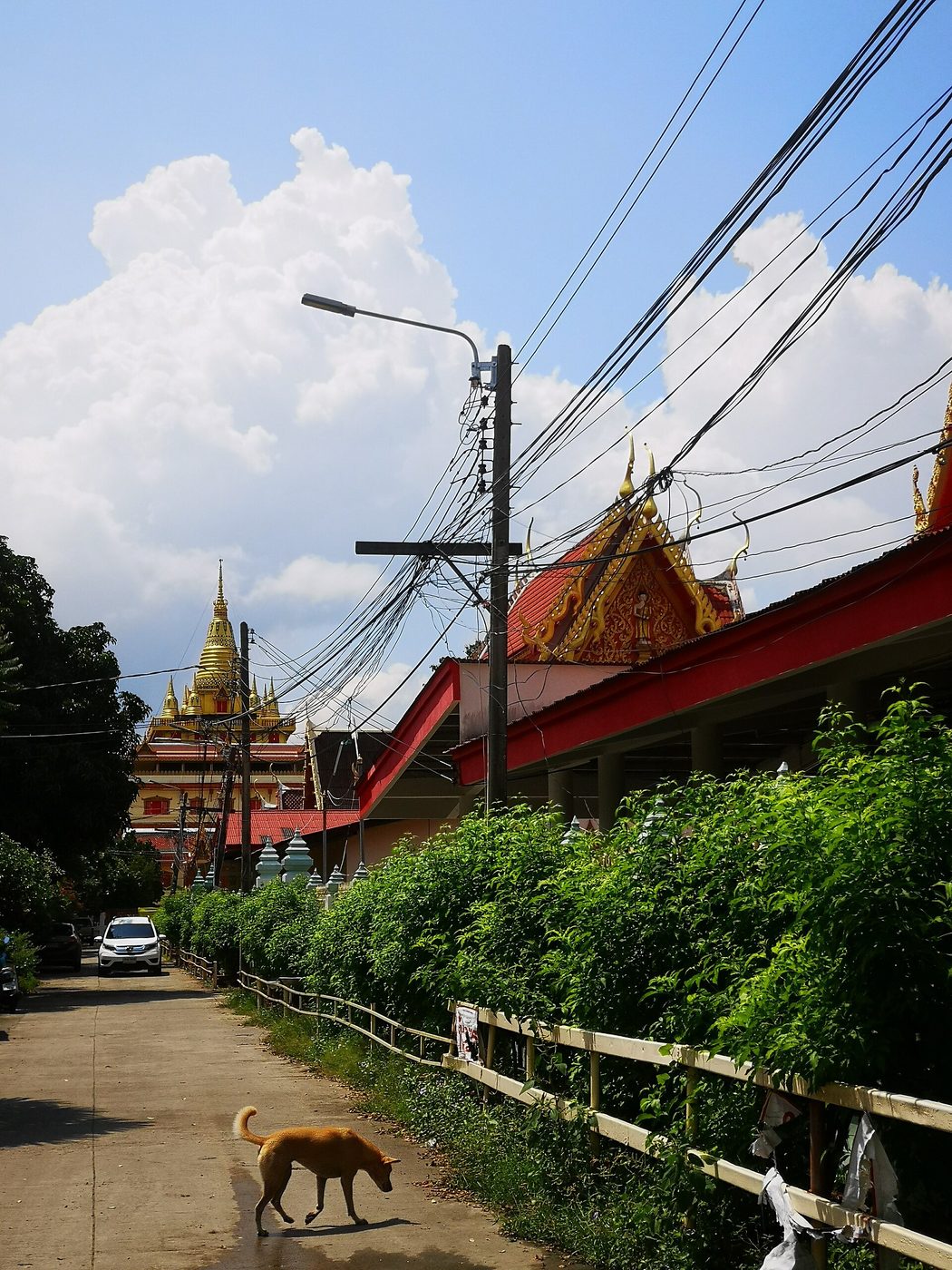 วัดบางแพรกเหนือ จ.นนทบุรี