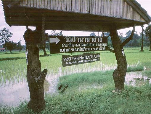 วัดป่านานาชาติ จ.อุบลราชธานี